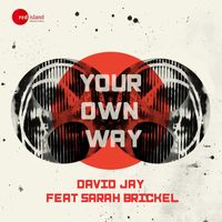 David Jay feat. Sarah Brickel - Your Own Way