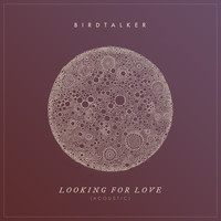 Birdtalker - Looking for Love (Acoustic)