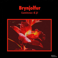 Brynjolfur - Luminous EP