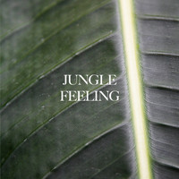 AMB - Jungle Feeling
