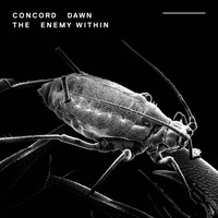 Concord Dawn - The Enemy Within