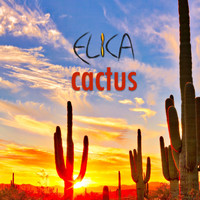 Elica - Cactus