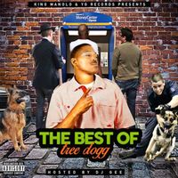 DJ Gee - The Best of Tree Dogg (Explicit)