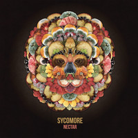 Sycomore - Nectar