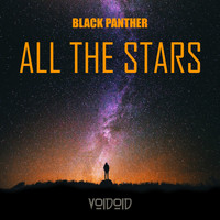 Voidoid - All The Stars