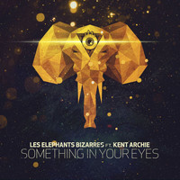 Les Elephants Bizarres - Something In Your Eyes