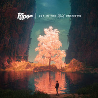 Ripe - Joy in the Wild Unknown