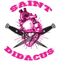 Saint Didacus - Titles