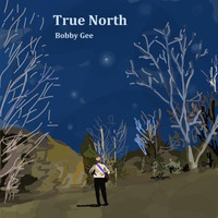 BOBBY GEE - True North