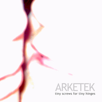 Arketek - Tiny Screws for Tiny Hinges (Explicit)