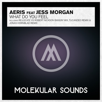 Aeris featuring Jess Morgan - What Do You Feel?