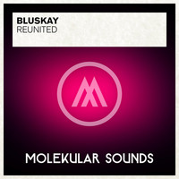 Bluskay - ReUnited