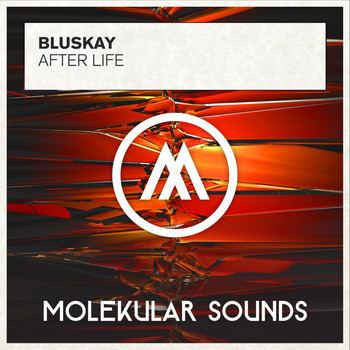 Bluskay - After Life