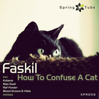 Faskil - How to Confuse a Cat