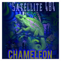Satellite 484 - Chameleon
