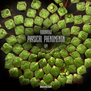 Bobryuko - Physical Phenomenon