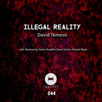 David Temessi - Illegal Reality