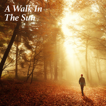 Various Artists - A Walk In The Sun