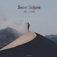Mr Lumoss - Secret Sahara