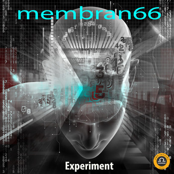 membran 66 - Experiment