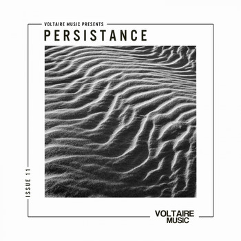 Various Artists - Voltaire Music pres. Persistence #11