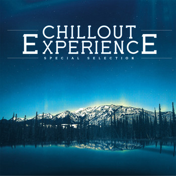 Various Artists - Chillout Experience Special Selection