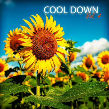 Various Artists - Cool Down, Vol. 4