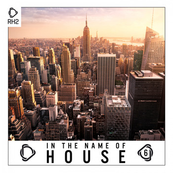 Various Artists - In the Name of House, Vol. 6