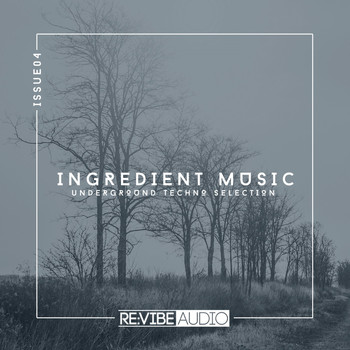 Various Artists - Ingredient Music, Vol. 4