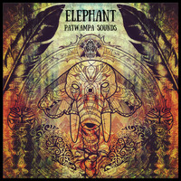 Elephant - PATWAMPA SOUNDS