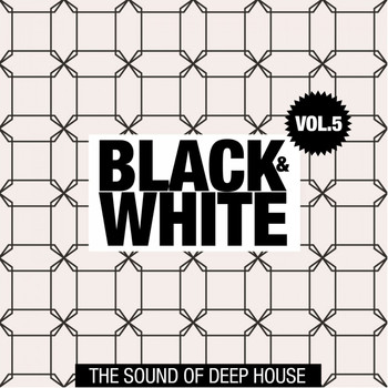 Various Artists - Black & White, Vol. 5 (The Sound of Deep House)