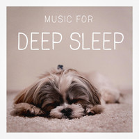 Relax Meditate Sleep, Music For Absolute Sleep, Easy Sleep Music - Music for Deep Sleep