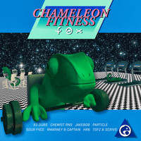 Various Artists - Chameleon Fitness