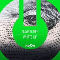 Adam Hofer - What's Up (Disscut Remix)