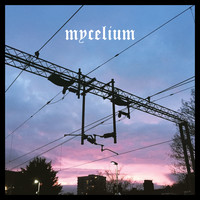 Mycelium - Mind Knows Not The Wisdom Of Muscle And Marrow