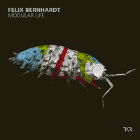 Felix Bernhardt - Modular Life