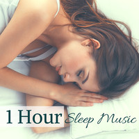 Sleep Oasis - 1 Hour Sleep Music - Deep Sleeping & Dreams, Calm Songs to Relax