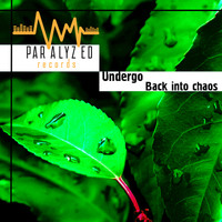 Undergo - Back into chaos