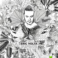 Eric Volta - The Dissolution of Eric Volta