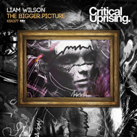 Liam Wilson - The Bigger Picture