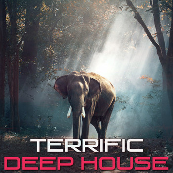 Various Artists - Terrific Deep House