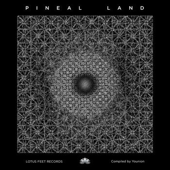 Various Artists - Pineal Land