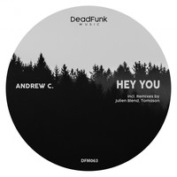 Andrew c. - Hey You