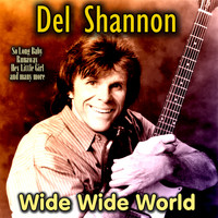 Del Shannon - Wide Wide World