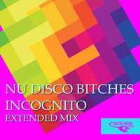 Nu Disco Bitches - Incognito (Extended Mix)