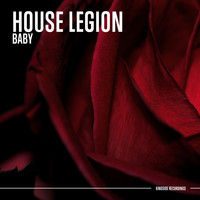 House Legion - Baby