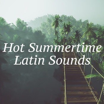 Various Artists - Hot Summertime Latin Sounds