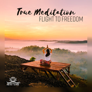 Meditation Music Zone - True Meditation (Flight to Freedom - Deep Breathing, Spiritual Yoga, Deep Consciousness)