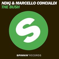 NDKj & Marcello Concialdi - The Bush (Remixes)