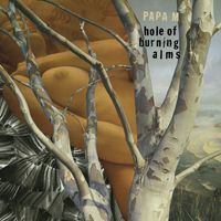 Papa M - Hole of Burning Alms